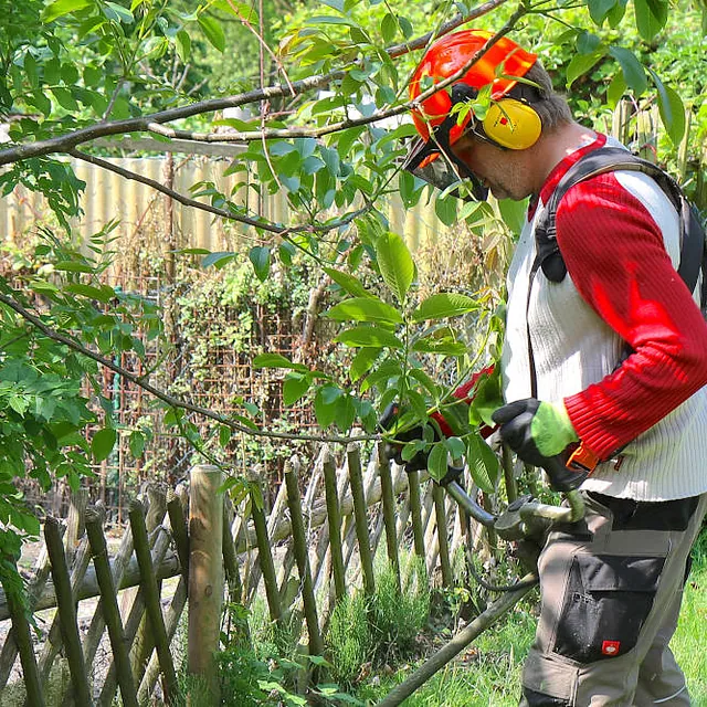Mitarbeiter bei Gehölzpflege und Rückschnitt im Privatgarten