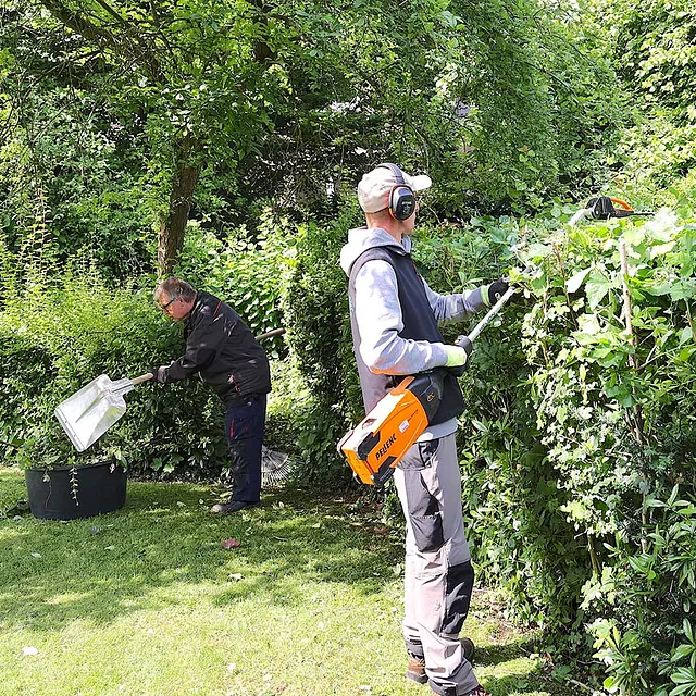 Mitarbeiter bei der Heckenpflege mit Freischneider im Garten