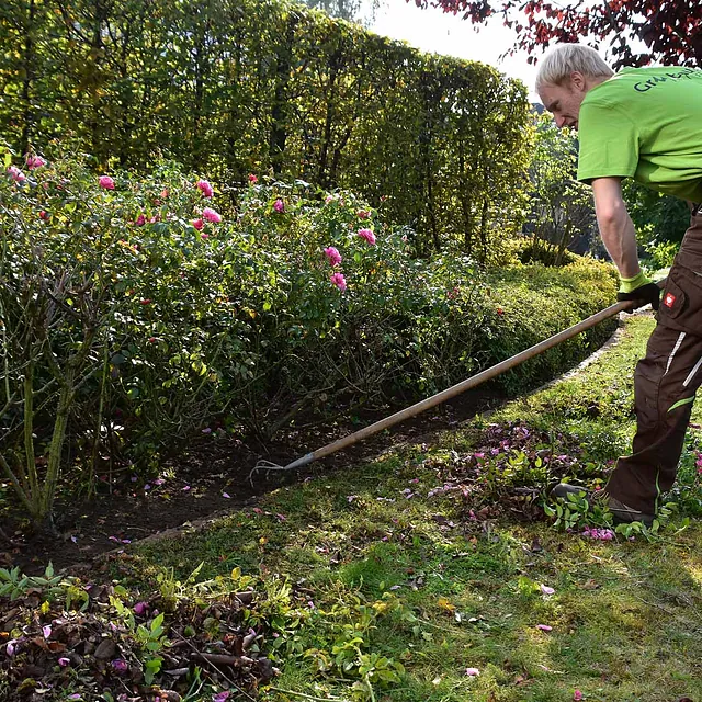 Gartenpflege mit Beetpflege und Heckenpflege in einem Privatgarten