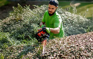 Mann schneidet Hecke mit Gerät